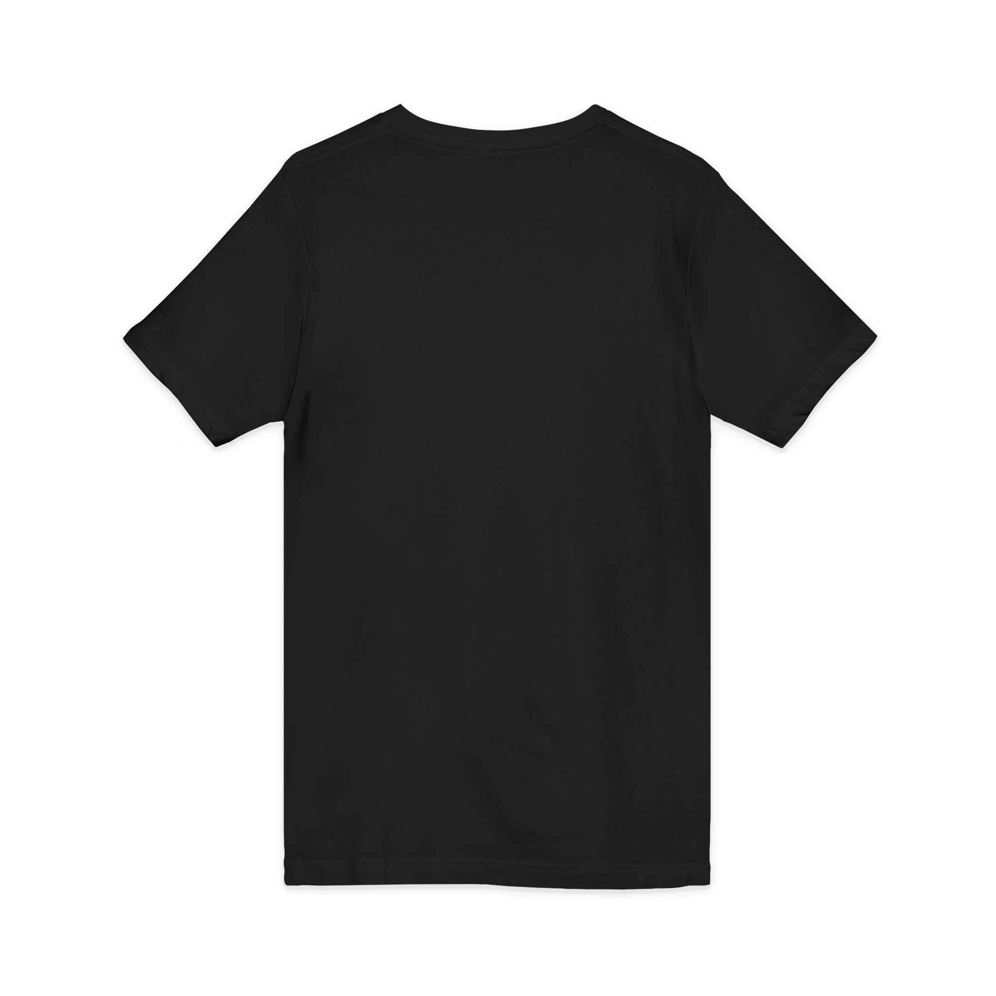 Pussy Phat From Di Back V-Neck Tee — Colorful Carnival Cat Graphic Shirt