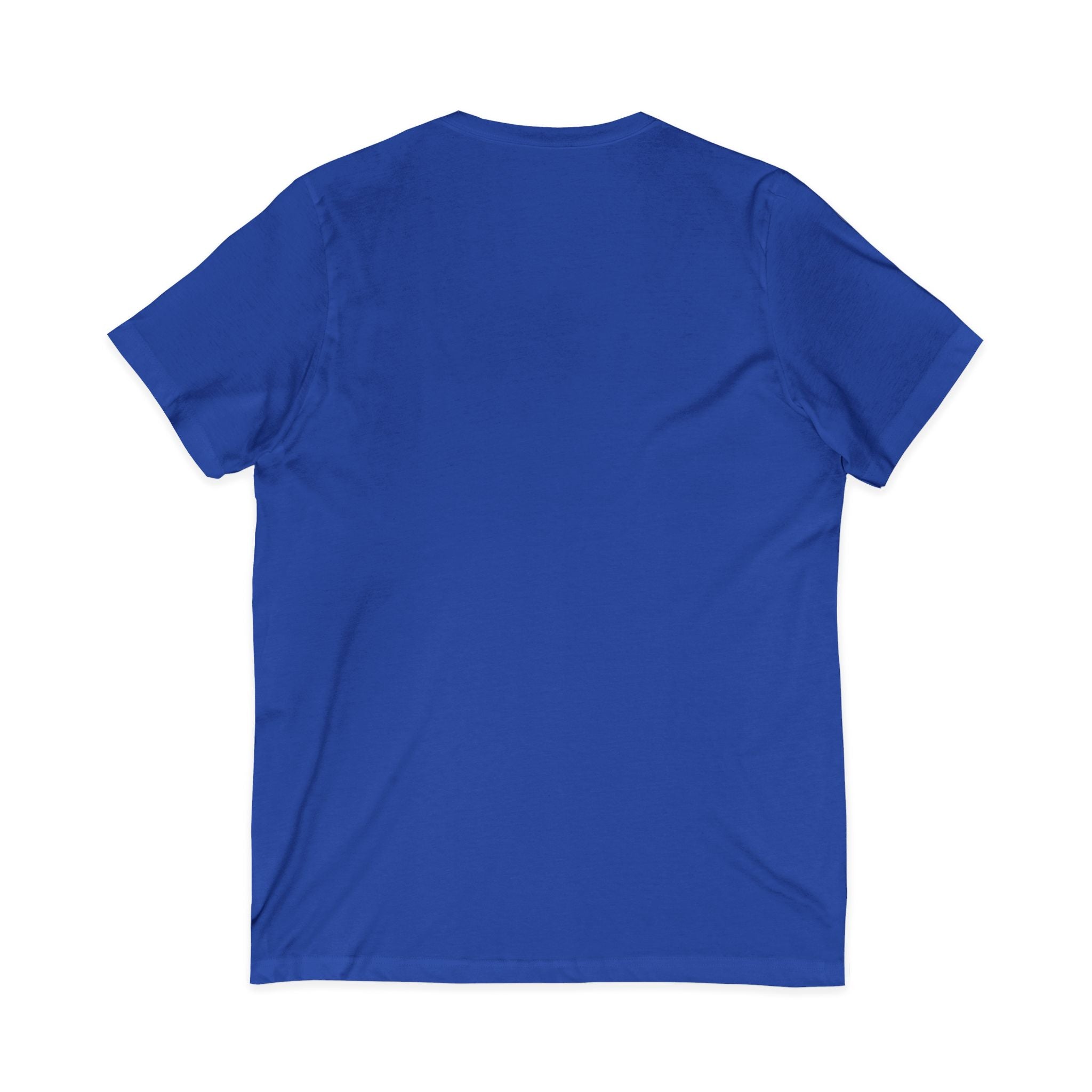 Pussy Phat From Di Back V-Neck Tee — Colorful Carnival Cat Graphic Shirt