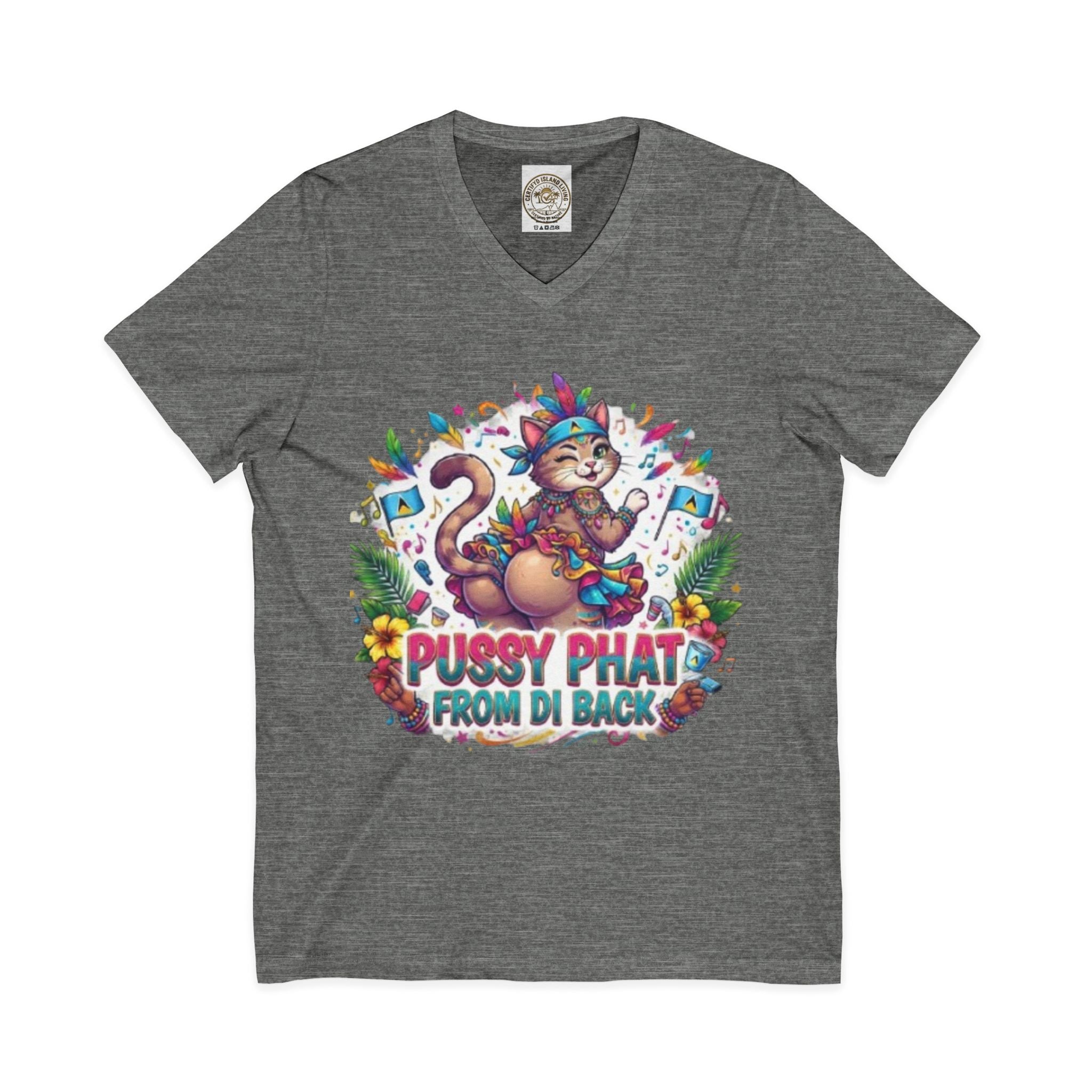 Pussy Phat From Di Back V-Neck Tee — Colorful Carnival Cat Graphic Shirt