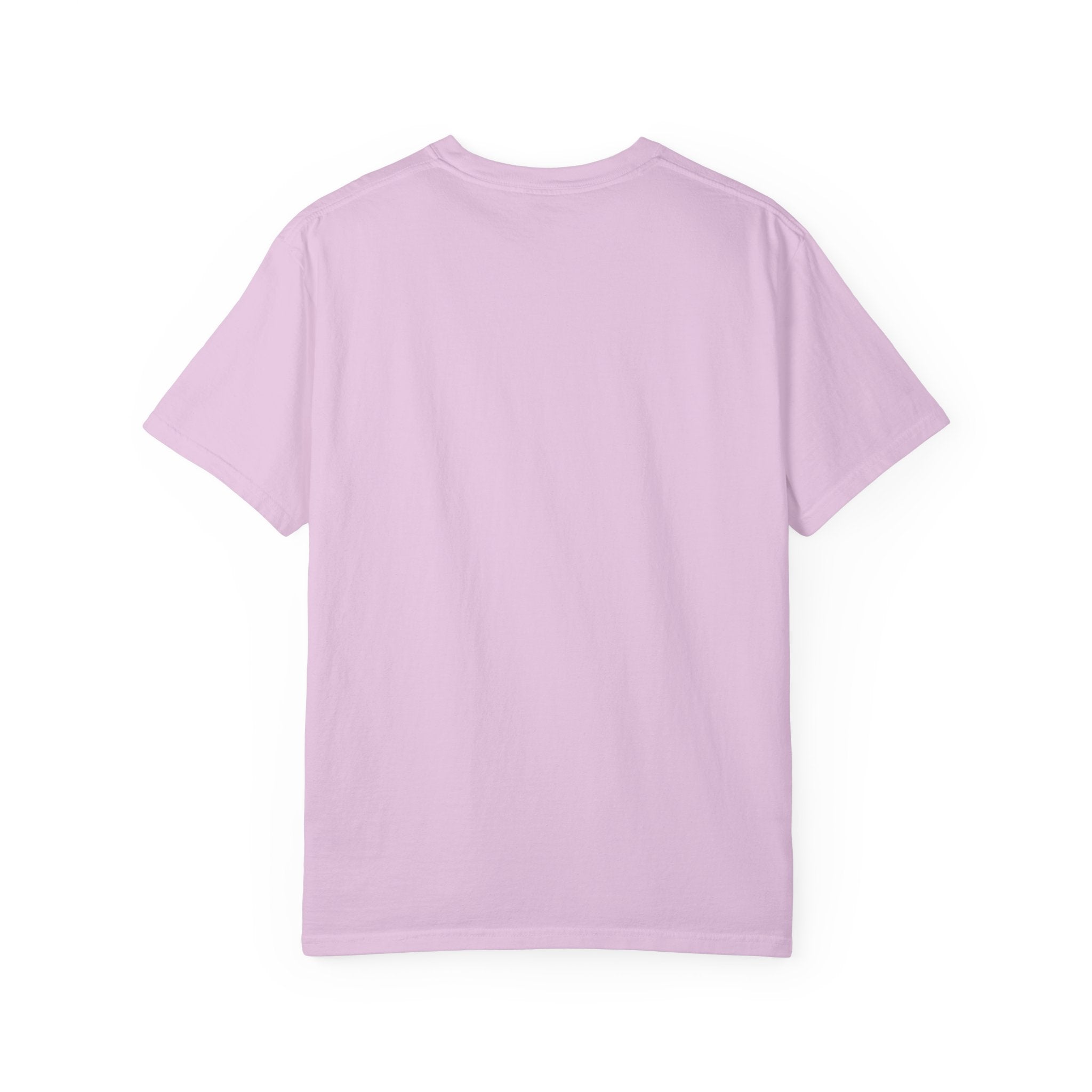 STUSH Definition T-Shirt — 'Don't Be So Stush' Graphic Tee