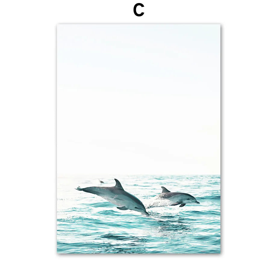 Caribbean Dolphins Wall Art Print