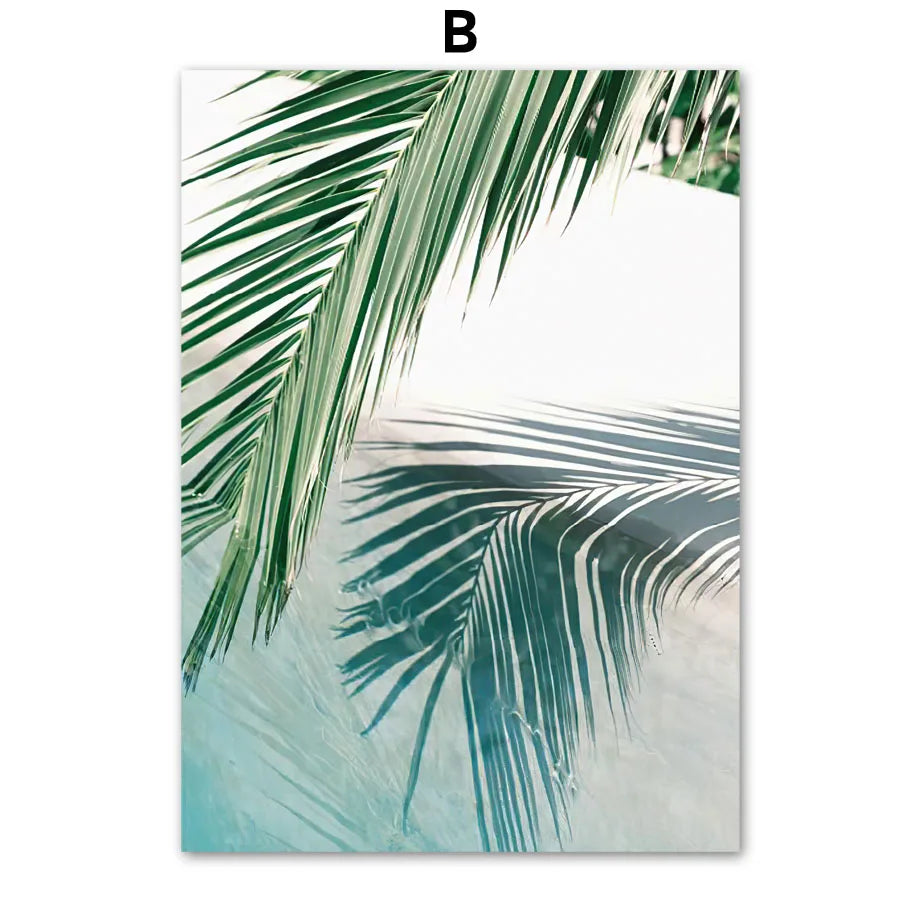 Caribbean Dolphins Wall Art Print